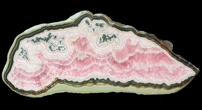 Rhodochrosite Stalactite Slice With Pyrite - Argentina #63154